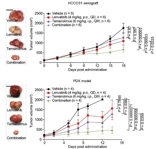 Drug Combination Prediction and Validation in LICOB